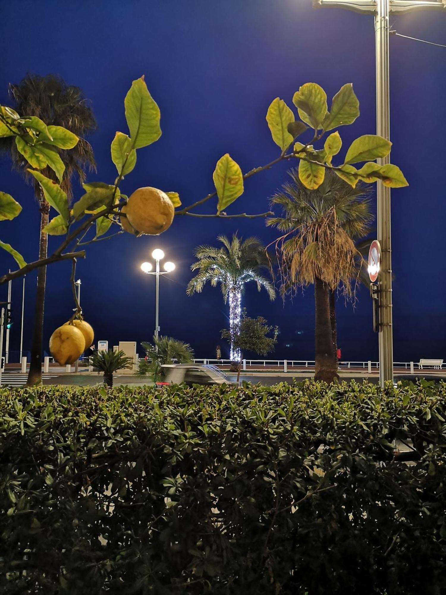 Garden Atlantide Promenade Apartment นีซ ภายนอก รูปภาพ